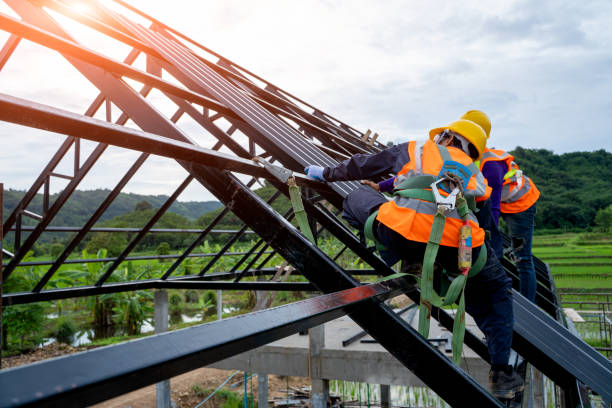 Best Roof Gutter Cleaning  in Middleport, OH