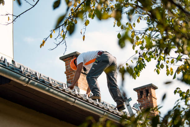 Best Roof Replacement Cost  in Middleport, OH