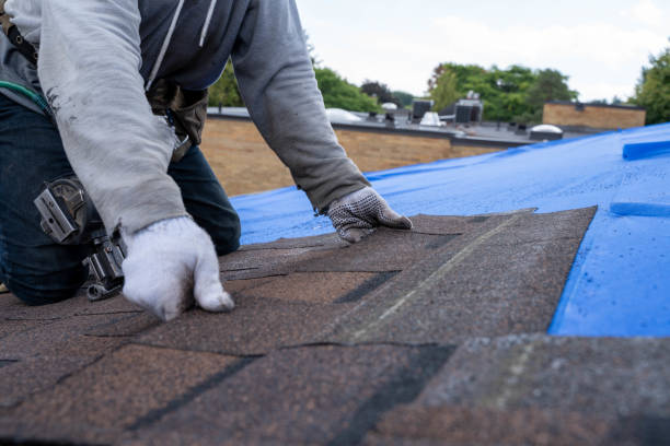 Best Residential Roof Replacement  in Middleport, OH