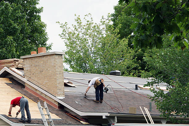 Best Storm Damage Roof Repair  in Middleport, OH