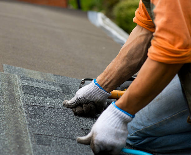 Best Affordable Roof Replacement  in Middleport, OH