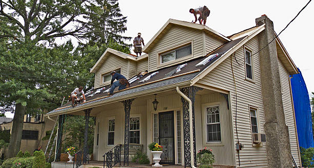 Best New Roof Installation  in Middleport, OH